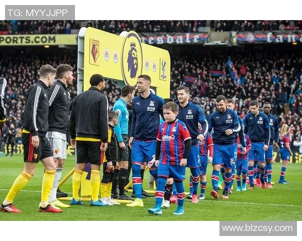 维拉主场迎战水晶宫双方争夺英超宝贵积分的激烈对决