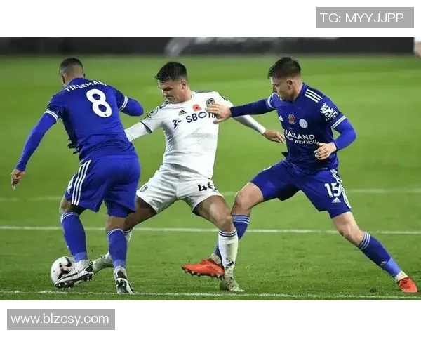 南安普顿主场迎战埃弗顿双方争夺英超宝贵积分之战